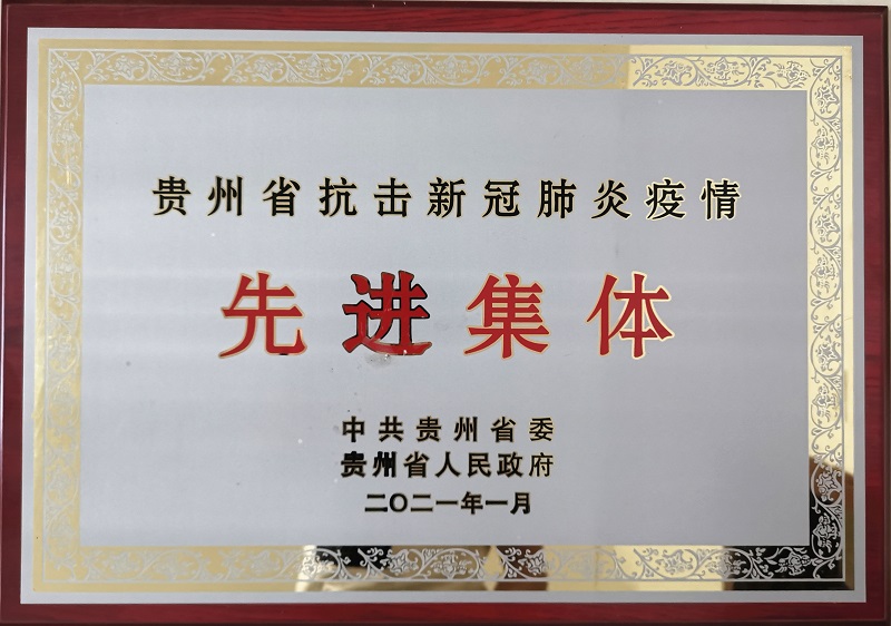 6.贵州省抗击新冠肺炎疫情先进集体.jpg